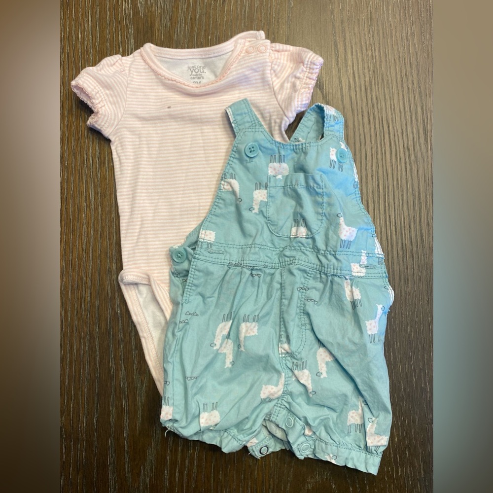 Llama overall outfit